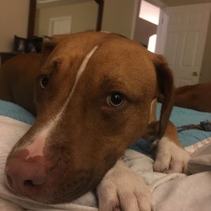 Meet your Posher, Lesley